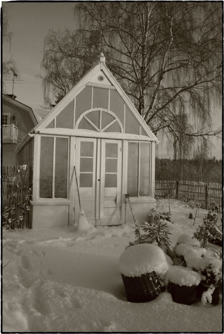 Vinter i Tyras Trädgård